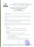 Transparency_in_Foreign_Currency_Allocation_and_Foreign_Currency.pdf